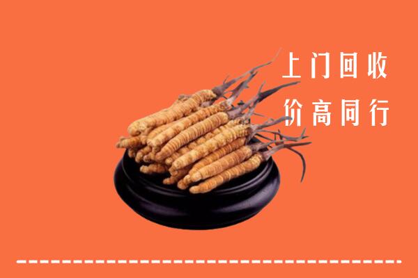 高价求购：自流井区回收散虫草