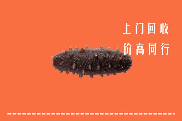 自流井区回收海参